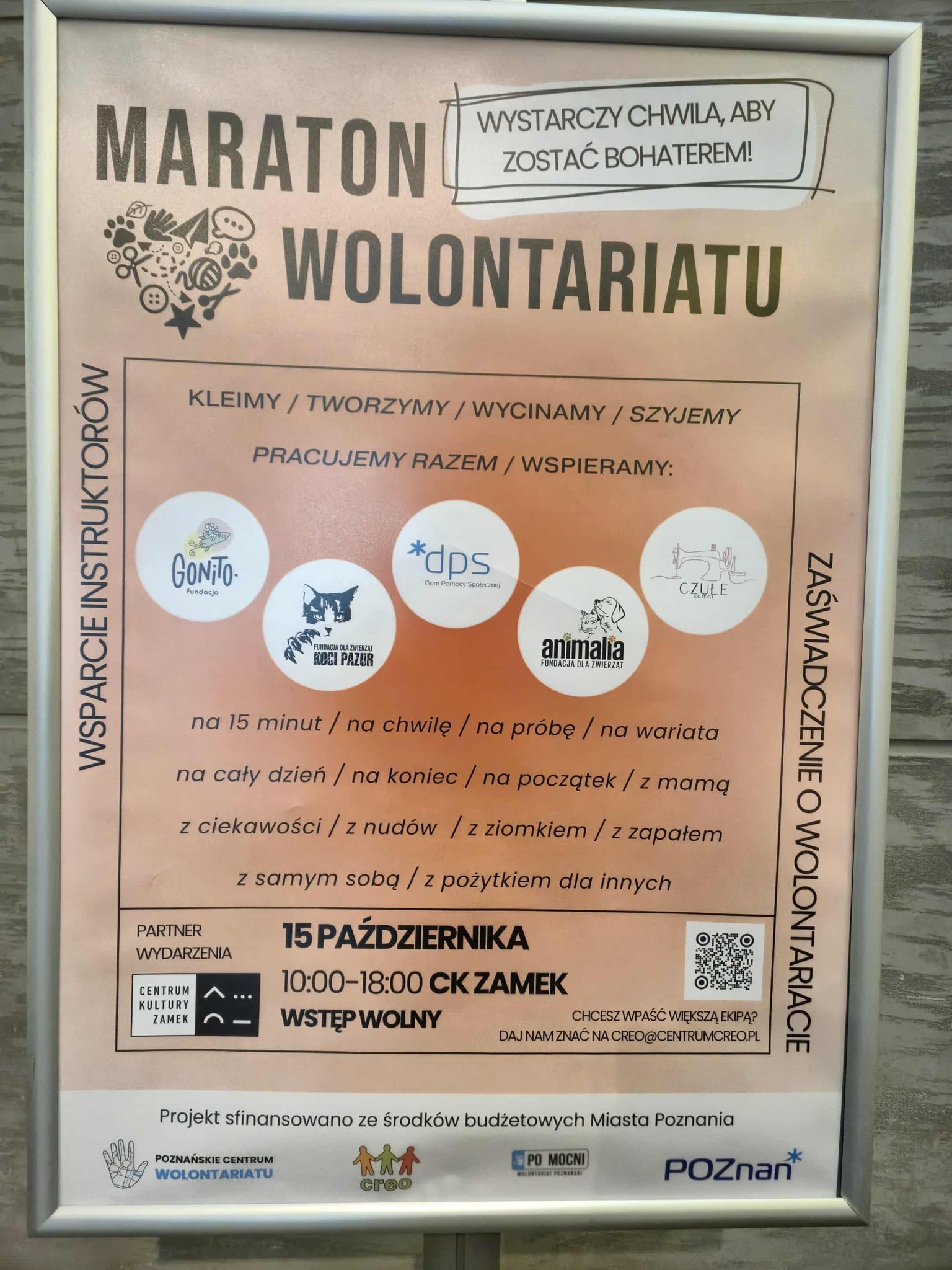 15 października – udział w Poznańskim Maratonie Wolontariatu.