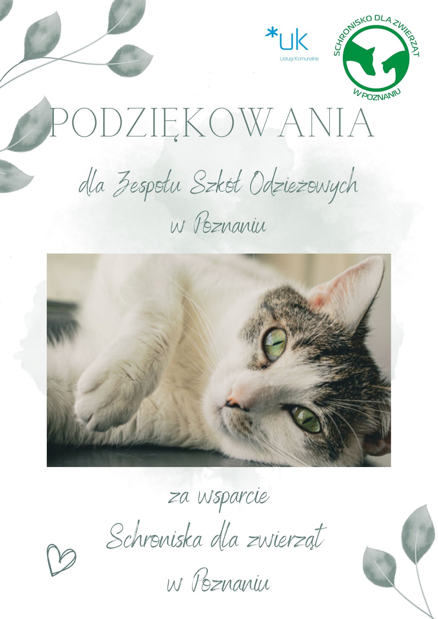 Podziękowanie od schroniska dla zwierząt.